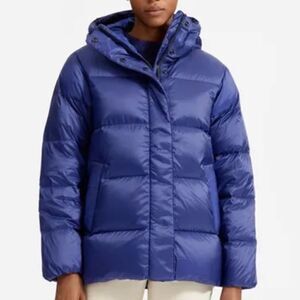 Everlane The Re:down Puffy Puff Jacket
